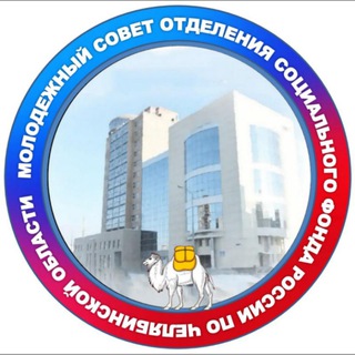 Telegram profile photo for Молодежный Совет Отделения СФР по Челябинской области