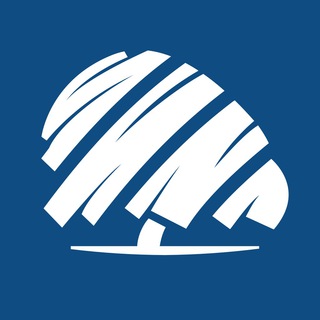 Telegram profile photo for Aliança Catalana