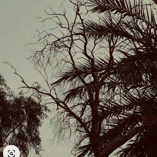 Telegram profile photo for لـِ دَمِيـرال ؟