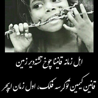 Telegram profile photo for تۆرکجه شاه بیتلر