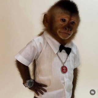 Telegram profile photo for Сын Эпштейна 💙