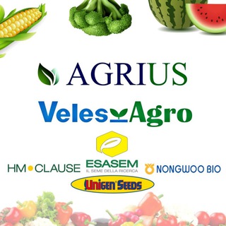 Telegram profile photo for VELES AGRO ᴀɴᴅ AGRIUS ᴏғғɪᴄɪᴀʟ
