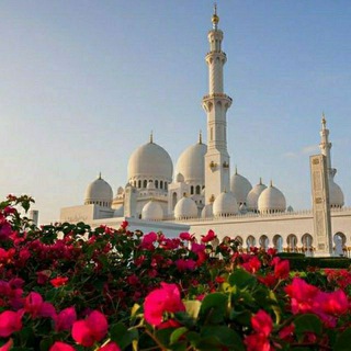 Telegram profile photo for Rasululloh ﷺummatlari