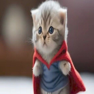 Telegram profile photo for Бульбаледженс.