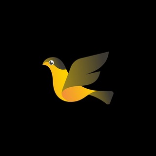 Telegram profile photo for 21Days Proof of Withdrawal