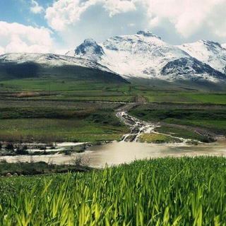 Telegram profile photo for Elk Village * ئاوایی ئەڵک * روستای الک