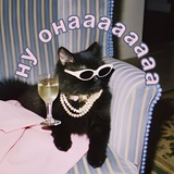Telegram profile photo for Недремлет