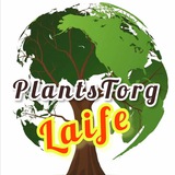 Telegram profile photo for 🌳GlobPlantsTorg🌳Laife👏