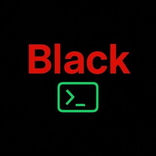 Telegram profile photo for BLACK Terminal