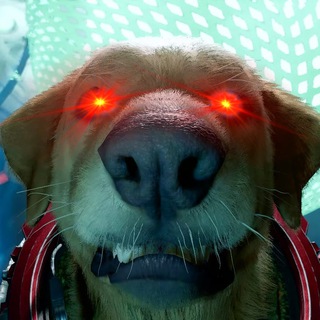 Telegram profile photo for Cosmo the Spacedog