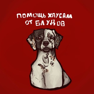 Telegram profile photo for 🍾Помощь хаусам от блудов🍾