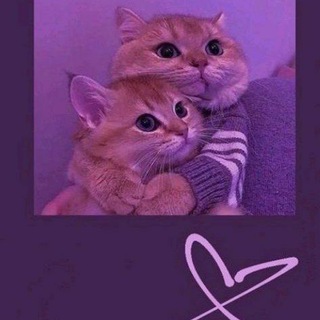 Telegram profile photo for كتابات أرجوانية PurpleWrite 💜