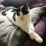 Telegram profile photo for </ ๐๐๐๐ฒ ๐๐ฎ๐๐ /> ๐๐ถ๐ณ๐