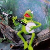 Telegram profile photo for all gumption