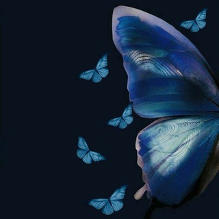Telegram profile photo for فراشة🦋✨