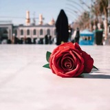 Telegram profile photo for إنّا لِلــٰـه|🦋✨