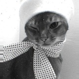 Telegram profile photo for all result estlady