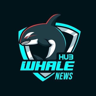 Telegram profile photo for Whalehub | Results