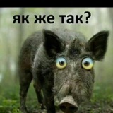 Telegram profile photo for А шо там у хохлов