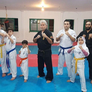 Telegram profile photo for کانال کیوکوشین تزوکای ساری