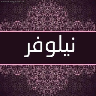 Telegram profile photo for نيلوڤر nilufer
