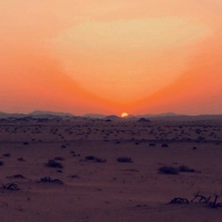 Telegram profile photo for الـدوسـري