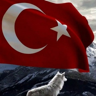 Telegram profile photo for Недвижимость в Турции