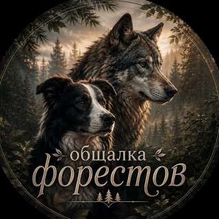 Telegram group profile photo for Общалка Форестов
