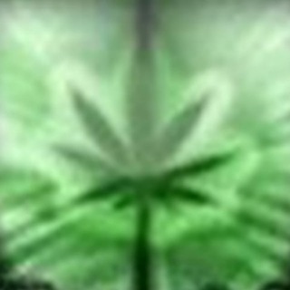 Telegram profile photo for niggastyle
