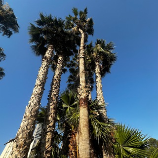 Telegram profile photo for Недвижимость Кипр 🇨🇾🏝️☀️Лимассол/Пафос/Ларнака🇨🇾