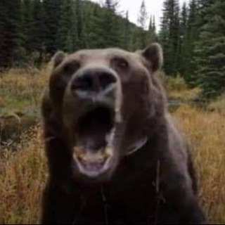 Telegram profile photo for sndrkk