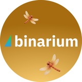 Telegram profile photo for Binarium English
