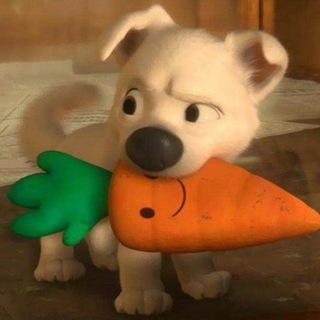 Telegram profile photo for uid.1337