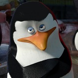 Telegram profile photo for Пингвин в трендах