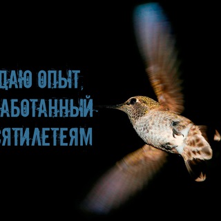 Telegram group profile photo for Лиды и Клиенты Бесплатно
