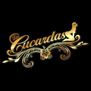 Telegram profile photo for Las Cucardas