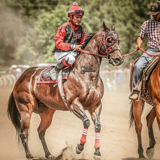 Telegram profile photo for 🏇 میدان اسبدوانی کشور 🏇