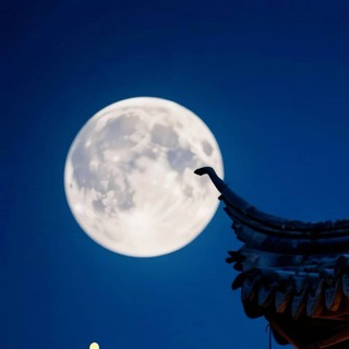 Telegram profile photo for 欢乐大本营