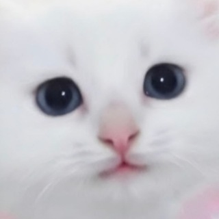Telegram profile photo for Какой сегодня день.gif