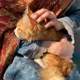 Telegram profile photo for ل̷ـۆنــآر ♪
