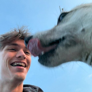 Telegram profile photo for абсурд виктора