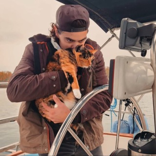 Telegram group profile photo for Oliver's Cat ($PHOENIX) Community