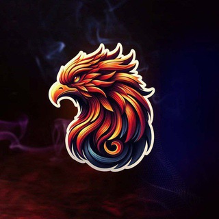 Telegram profile photo for M168 Live