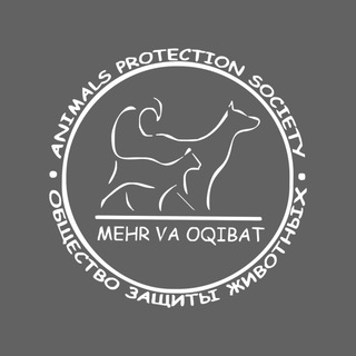 Telegram profile photo for «Mehr va Oqibat» NNT HMQJ