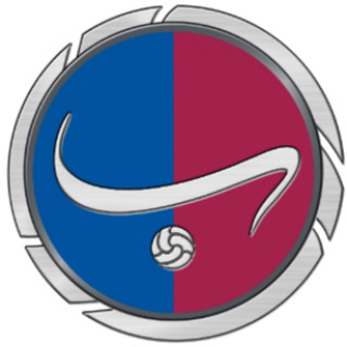 Telegram profile photo for کانال رسمی بارسا نیوز
