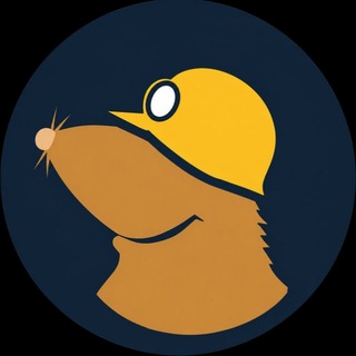 Telegram profile photo for Mullvad VPN