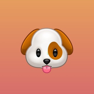 Telegram profile photo for eebra