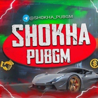 Telegram profile photo for SHOKHA PUBGM⚔️