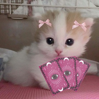 Telegram profile photo for отзывы 💕