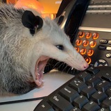 Telegram profile photo for ʟᴀᴢʏ ᴘᴏss